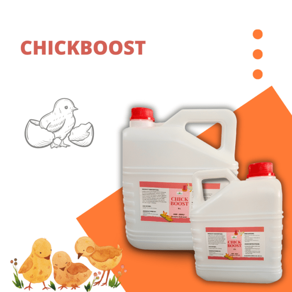 Chick Boost