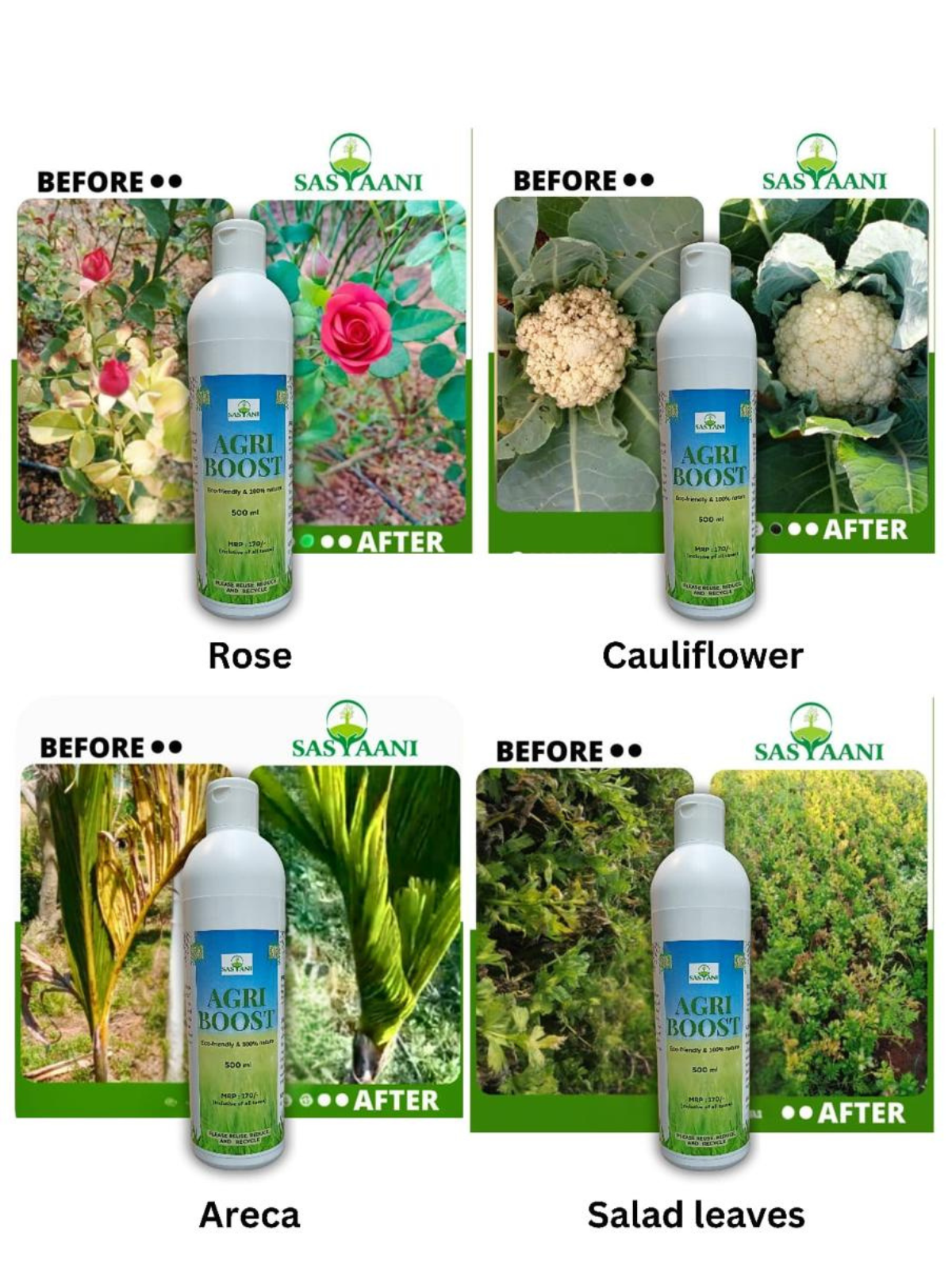 Agri Boost - Image 7